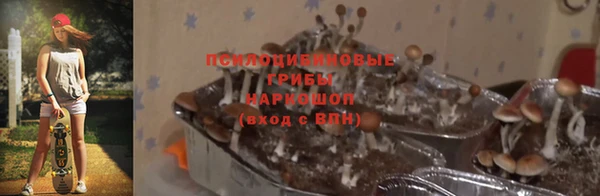 МДПВ Алексеевка