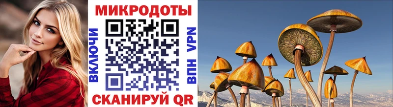 Псилоцибиновые грибы ЛСД Наволоки